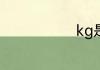 kg是什么单位