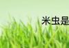 米虫是从哪里来的