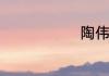 陶伟个人资料