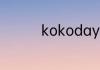 kokodayo到底是什么梗