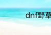 dnf野草莓的故事原文