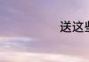 送这些就可以了