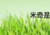 米奇是什么意思啊