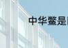 中华鳖是国家保护动物吗