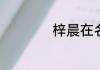 梓晨在名字中的含义