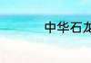 中华石龙子一般吃什么