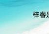 梓睿是什么意思