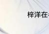 梓洋在名字中的含义