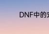 DNF中的宠物装备有哪些