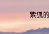 紫狐的意思是什么