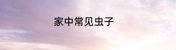 家中常见虫子
