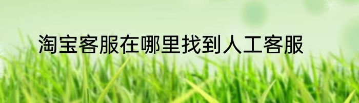 淘宝客服在哪里找到人工客服