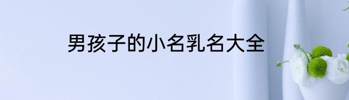 男孩子的小名乳名大全