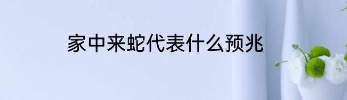 家中来蛇代表什么预兆