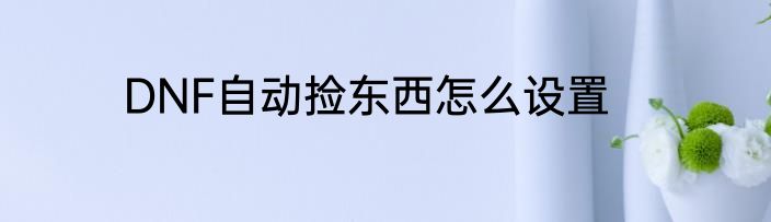 DNF自动捡东西怎么设置