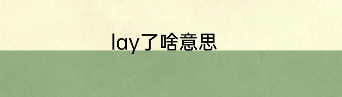 lay了啥意思