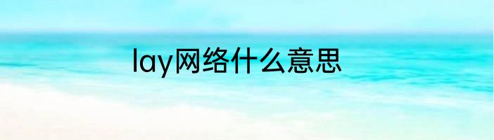 lay网络什么意思