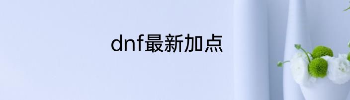 dnf最新加点