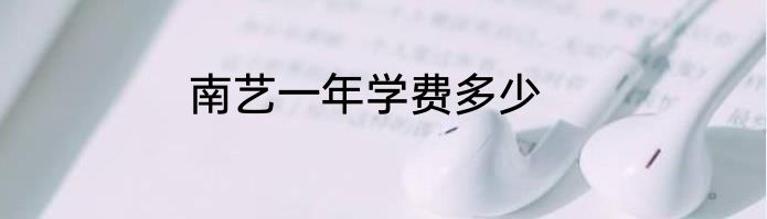 南艺一年学费多少