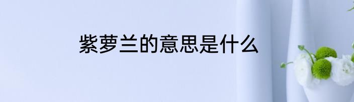 紫萝兰的意思是什么