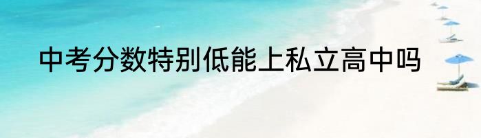 中考分数特别低能上私立高中吗