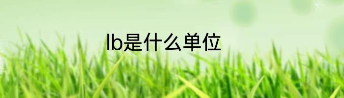 lb是什么单位
