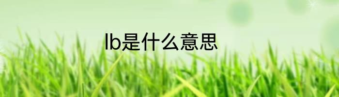 lb是什么意思