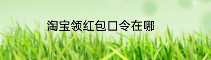 淘宝领红包口令在哪