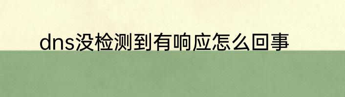 dns没检测到有响应怎么回事