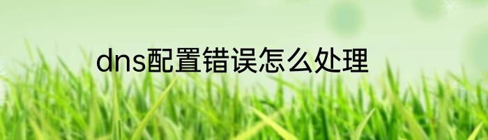 dns配置错误怎么处理