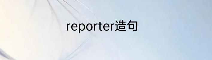 reporter造句