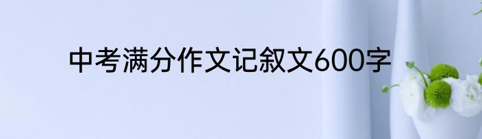 中考满分作文记叙文600字