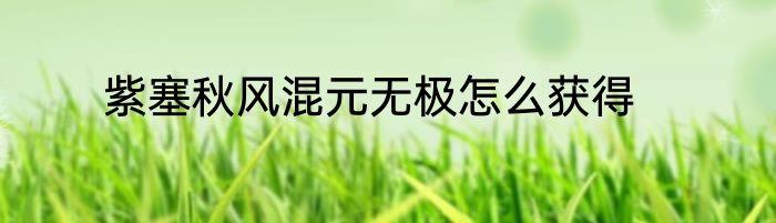 紫塞秋风混元无极怎么获得