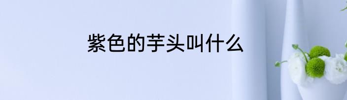 紫色的芋头叫什么