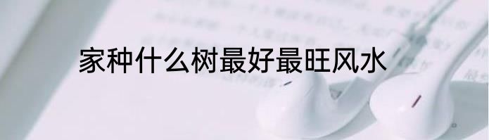 家种什么树最好最旺风水