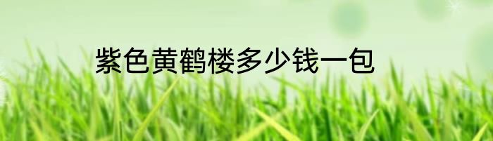 紫色黄鹤楼多少钱一包