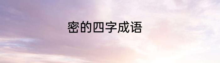 密的四字成语