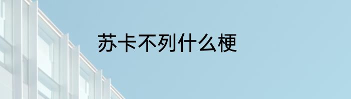 苏卡不列什么梗