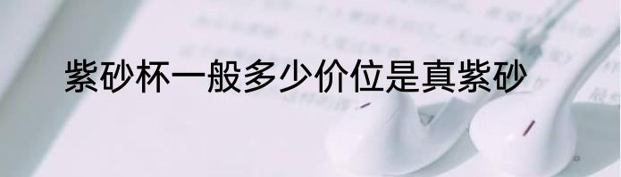 紫砂杯一般多少价位是真紫砂