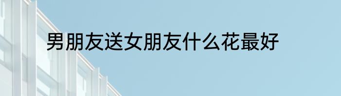 男朋友送女朋友什么花最好