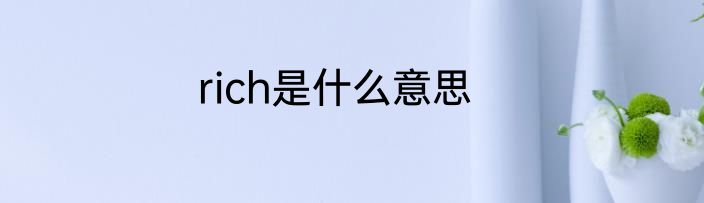 rich是什么意思