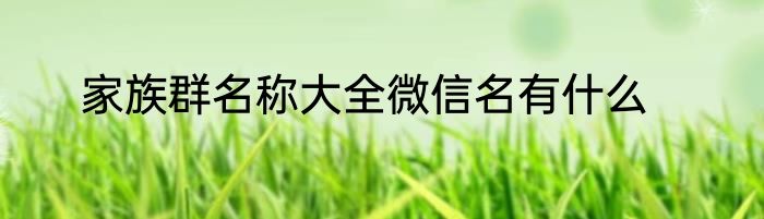 家族群名称大全微信名有什么