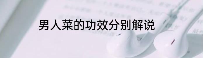 男人菜的功效分别解说