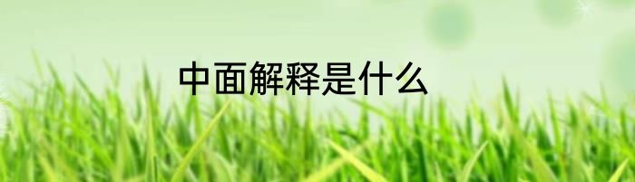 中面解释是什么