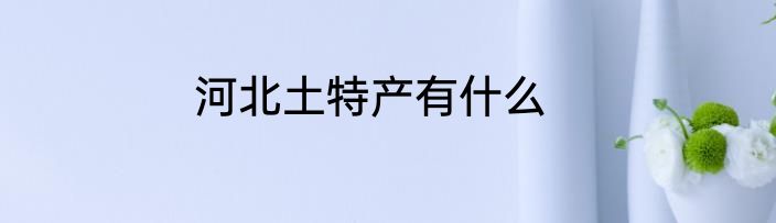 河北土特产有什么