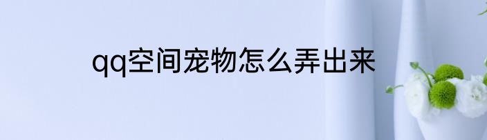 qq空间宠物怎么弄出来