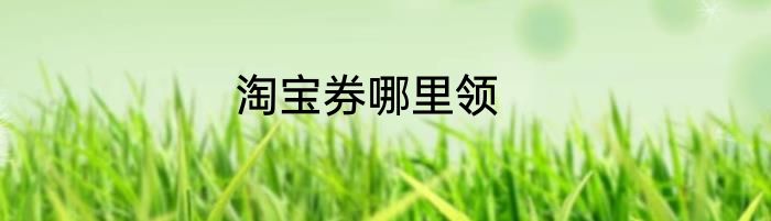 淘宝券哪里领