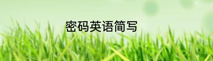 密码英语简写