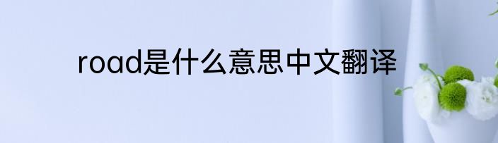 road是什么意思中文翻译