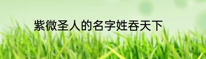 紫微圣人的名字姓吞天下